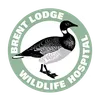 Brent Lodge Wildlife